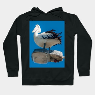 Australian Pelican Hoodie